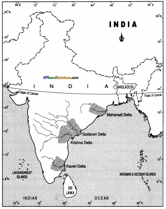 AP SSC 10th Class Social Studies Solutions Chapter 1 India Relief Features Q20