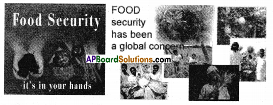 AP SSC 10th Class Social Studies Solutions Chapter 11 Food Security 2