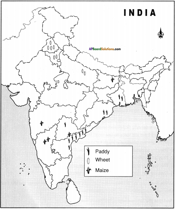 AP Board 9th Class Social Studies Important Questions Chapter 6 Agriculture in India 12