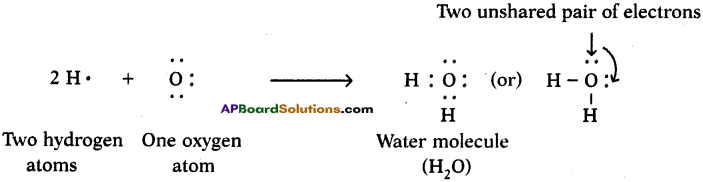 AP SSC 10th Class Chemistry Solutions Chapter 10 Chemical Bonding 12