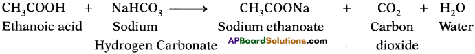 AP SSC 10th Class Chemistry Solutions Chapter 14 Carbon and its Compounds 17