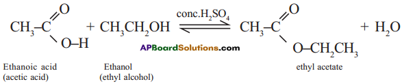 AP SSC 10th Class Chemistry Solutions Chapter 14 Carbon and its Compounds 4