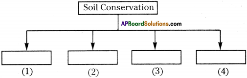 AP Board 9th Class Biology Important Questions Chapter 10 Soil Pollution 2
