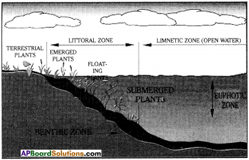 AP Board 9th Class Biology Solutions Chapter 9 Adaptations in Different Ecosystems 6