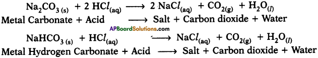 AP SSC 10th Class Chemistry Important Questions Chapter 4 Acids, Bases and Salts 2