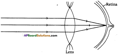 AP SSC 10th Class Physics Important Questions Chapter 7 Human Eye and Colourful World 18