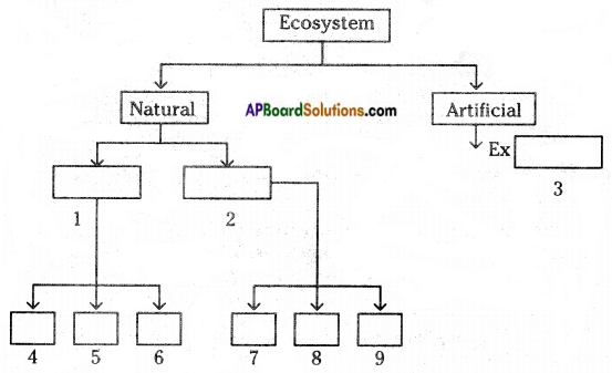 AP Board 8th Class Biology Important Questions Chapter 7 Different Ecosystems 1