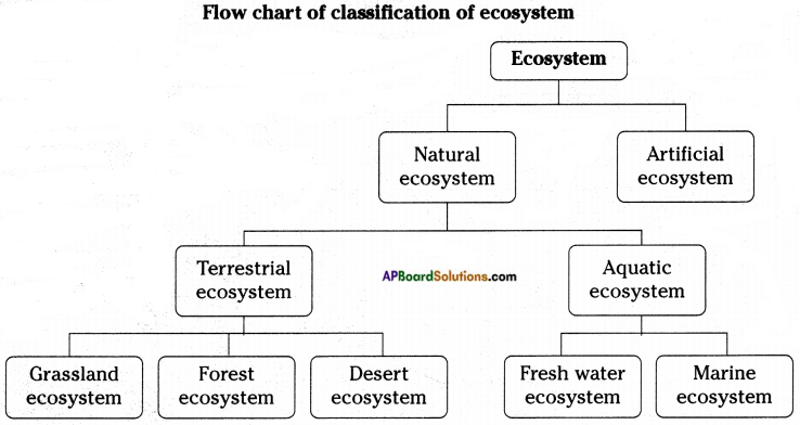 AP Board 8th Class Biology Important Questions Chapter 7 Different Ecosystems 3