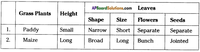 AP Board 8th Class Biology Solutions Chapter 6 Biodiversity and its Conservation 9