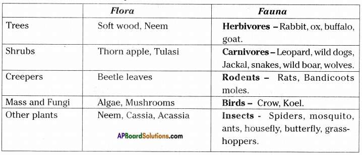 AP Board 8th Class Biology Solutions Chapter 7 Different Ecosystems 7
