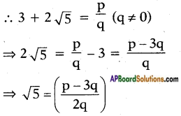 AP SSC 10th Class Maths Solutions Chapter 1 Real Numbers Ex 1.4 2