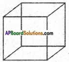 AP Board 6th Class Maths Notes Chapter 9 2D-3D Shapes 16