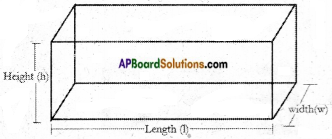 AP Board 6th Class Maths Notes Chapter 9 2D-3D Shapes 17