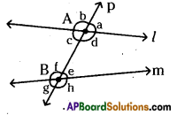 AP Board 6th Class Maths Solutions Chapter 8 Basic Geometric Concepts Ex 8.4 3