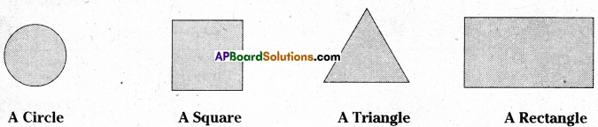 AP Board 7th Class Maths Solutions Chapter 14 Understanding 3D and 2D Shapes Ex 4 2