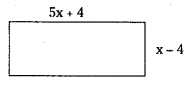 AP Board 7th Class Maths Solutions Chapter 3 Simple Equations Ex 3 3