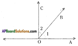 AP Board 9th Class Maths Notes Chapter 4 Lines and Angles 11