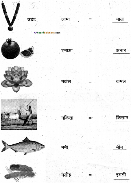 AP Board 6th Class Hindi Solutions Chapter 2 तितली 11