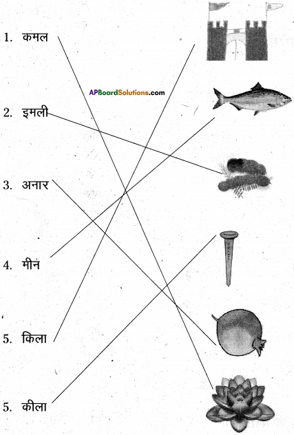 AP Board 6th Class Hindi Solutions Chapter 2 तितली 17