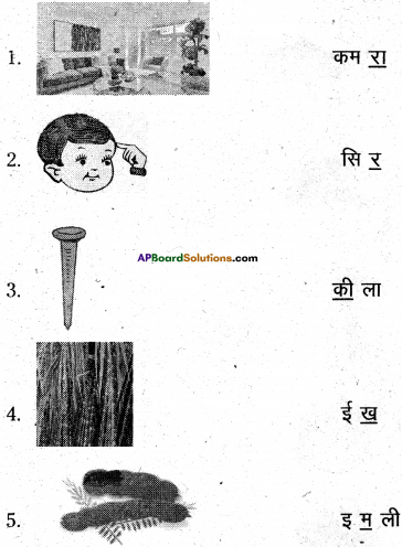 AP Board 6th Class Hindi Solutions Chapter 2 तितली 19