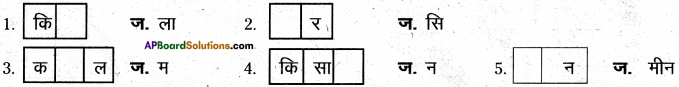 AP Board 6th Class Hindi Solutions Chapter 2 तितली 25