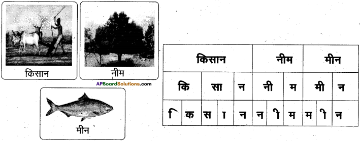 AP Board 6th Class Hindi Solutions Chapter 2 तितली 4