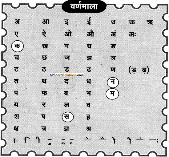 AP Board 6th Class Hindi Solutions Chapter 2 तितली 5