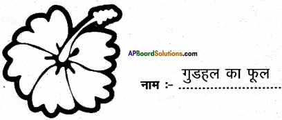 AP Board 6th Class Hindi Solutions Chapter 3 ऊँट चला 17