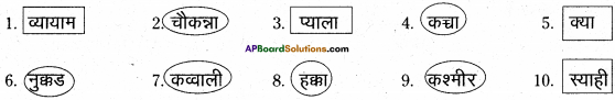 AP Board 6th Class Hindi Solutions Chapter 6 खिलौनेवाला 24
