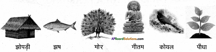 AP Board 6th Class Hindi Solutions Chapter 6 खिलौनेवाला 4