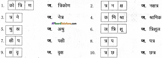 AP Board 6th Class Hindi Solutions Chapter 8 जन्म दिन 13
