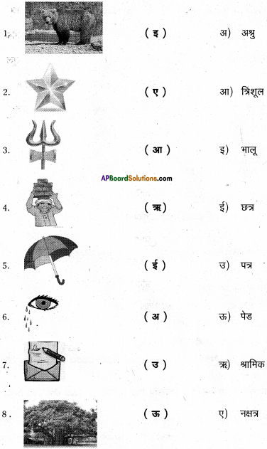 AP Board 6th Class Hindi Solutions Chapter 8 जन्म दिन 15