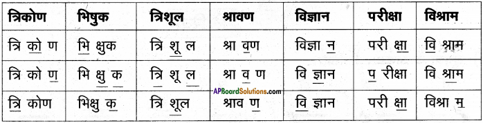 AP Board 6th Class Hindi Solutions Chapter 8 जन्म दिन 8