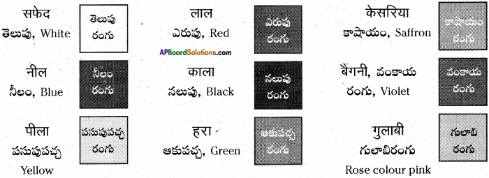 AP Board 6th Class Hindi Solutions Chapter 9 जन्म दिन 10