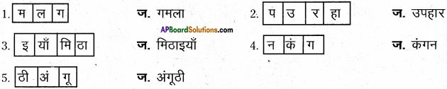 AP Board 6th Class Hindi Solutions Chapter 9 जन्म दिन 11