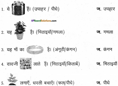 AP Board 6th Class Hindi Solutions Chapter 9 जन्म दिन 13