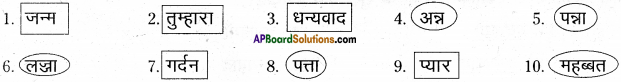 AP Board 6th Class Hindi Solutions Chapter 9 जन्म दिन 17
