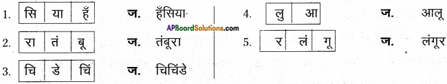 AP Board 6th Class Hindi Solutions सन्नद्धता कार्यक्रम Chapter 11 मम्मी की रोटी गोल.. गोल.. 5