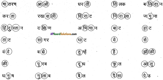 AP Board 6th Class Hindi Solutions सन्नद्धता कार्यक्रम Chapter 14 आओ बच्चे तुम्हे दिखाएँ 6