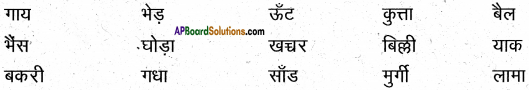 AP Board 6th Class Hindi Solutions सन्नद्धता कार्यक्रम Chapter 16 शेर और चूहा 3