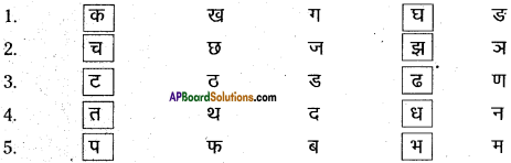 AP Board 6th Class Hindi Solutions सन्नद्धता कार्यक्रम Chapter 5 आलू - कचालू 9
