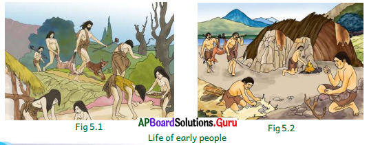 AP Board 6th Class Social Studies Solutions Chapter 5 Early Life to Settled Life 5