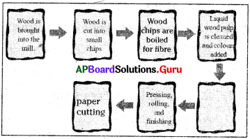 AP 7th Class Social Bits Chapter 9 Production in a Factory – A Paper Mill with Answers 2