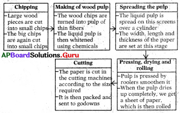 AP 7th Class Social Bits Chapter 9 Production in a Factory – A Paper Mill with Answers 4
