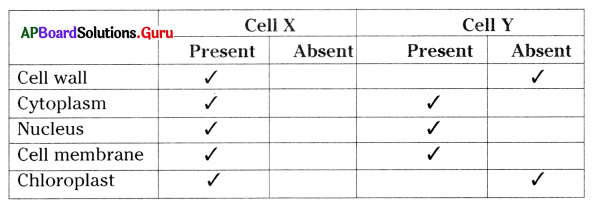AP 9th Class Biology Bits Chapter 1 Cell its Structure and Functions 17