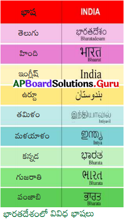 AP Board 6th Class Social Solutions Chapter 11 భారతీయ సంస్కృతి, భాషలు మరియు మతాలు 9