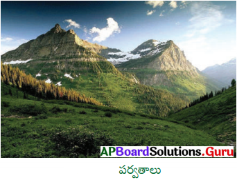 AP Board 6th Class Social Solutions Chapter 4 ఆంధ్రప్రదేశ్ – భూస్వరూపాలు 4