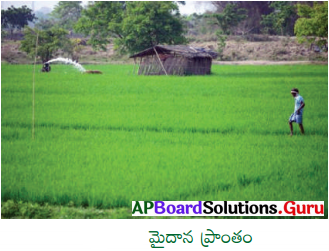 AP Board 6th Class Social Solutions Chapter 4 ఆంధ్రప్రదేశ్ – భూస్వరూపాలు 6