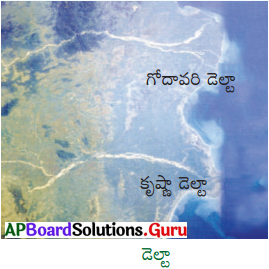 AP Board 6th Class Social Solutions Chapter 4 ఆంధ్రప్రదేశ్ – భూస్వరూపాలు 8