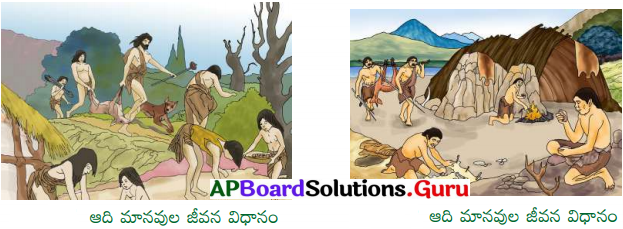 AP Board 6th Class Social Solutions Chapter 5 సంచార జీవనం నుండి స్థిర జీవనం 2
